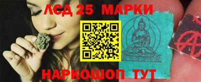 крисы Вязники