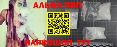 молекула духа Вязьма