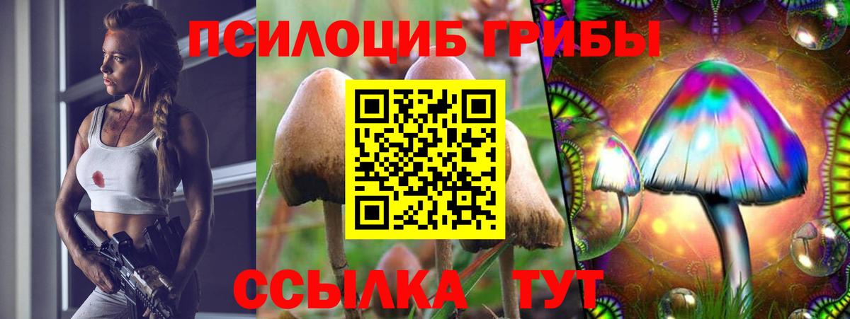 Псилоцибиновые грибы Psilocybine cubensis  Вход с VPN  Энгельс 