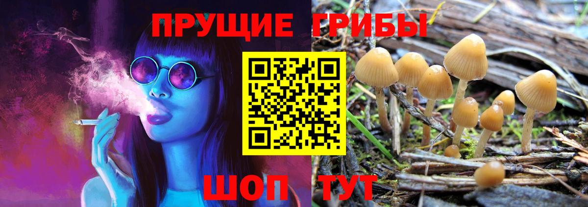 Псилоцибиновые грибы прущие грибы Энгельс